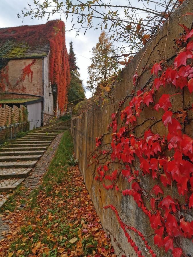 Gaestezimmer Reitinger Siegenburg Exterior photo